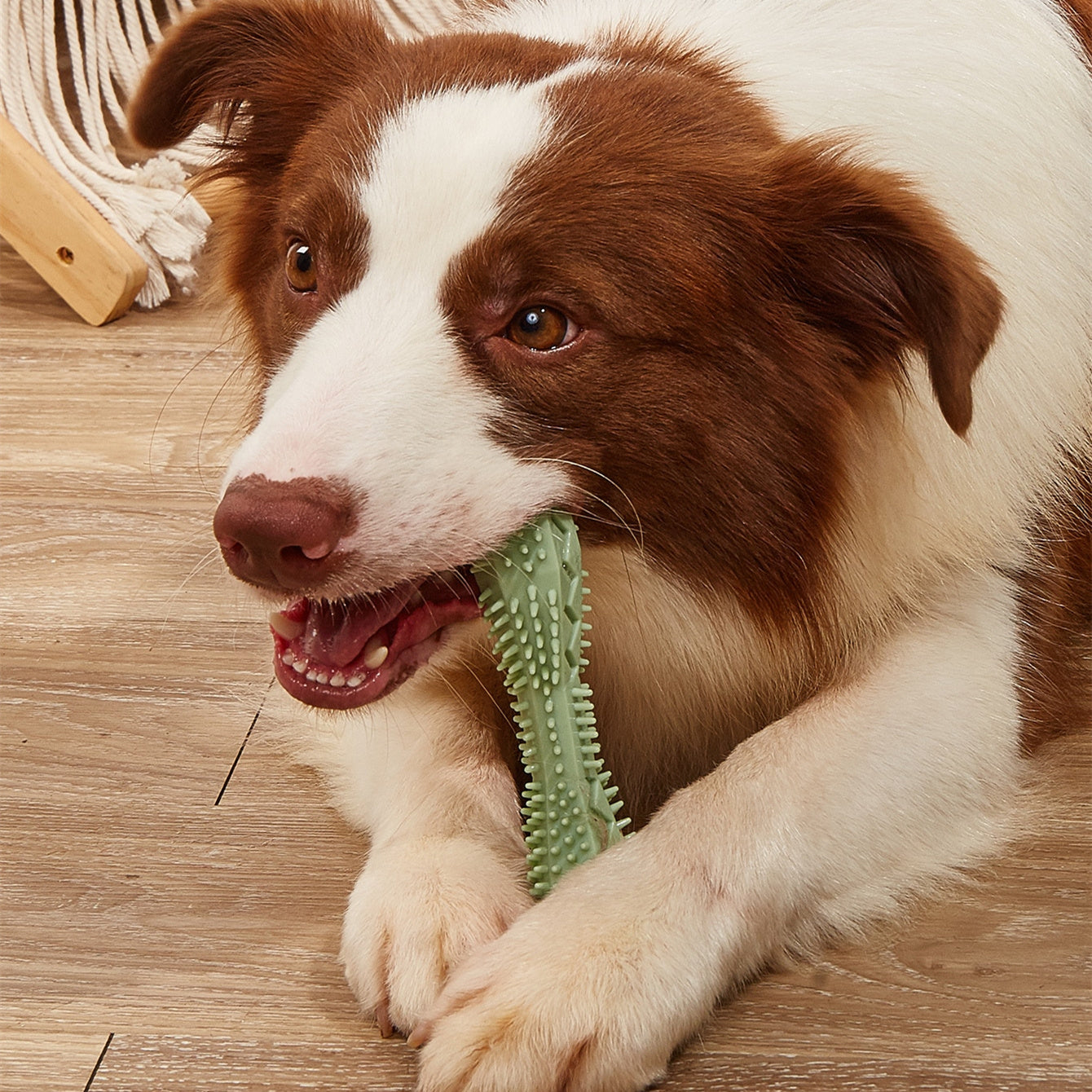 Chew Toys For Dog Teeth Cleaning - LuxeStreet Boutique